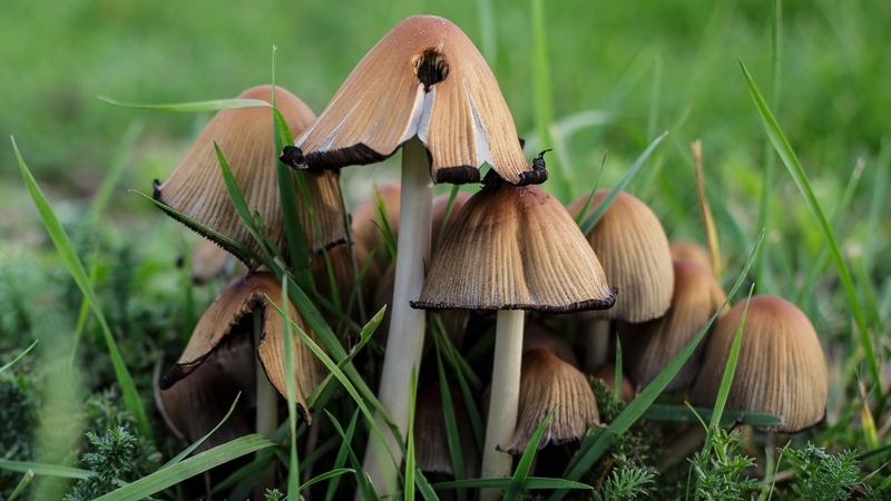 Initiation photographie