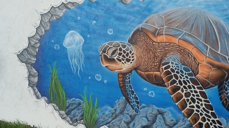 Découverte du graffiti 